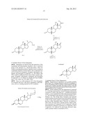 SYNTHETIC BILE ACID COMPOSITIONS AND METHODS diagram and image