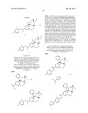 Nuclear Hormone Receptor Modulators diagram and image