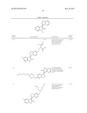 Kinase inhibitors diagram and image