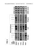 Use of phenylmethimazoles, methimazole derivatives, and tautomeric cyclic     thiones for the treatment of autoimmune/inflammatory diseases associated     with toll-like receptor overexpression diagram and image