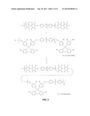 ANION EXCHANGE POLYELECTROLYTES diagram and image