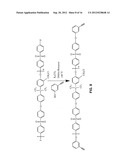 ANION EXCHANGE POLYELECTROLYTES diagram and image