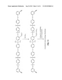 ANION EXCHANGE POLYELECTROLYTES diagram and image