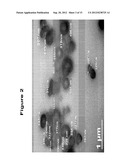 PRIMARY CARBON NANOPARTICLES diagram and image