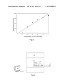 Method for Measuring the Physiological Parameters of Brain Interstitial     Fluid and Brain Extracellular Space diagram and image