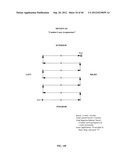 Computer Controlled Laser Therapy Treatment Table diagram and image