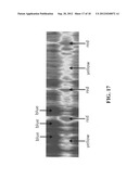 Intensity transform systems and methods diagram and image