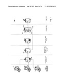 Method and System for Managing Virtual and Real Machines diagram and image