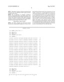 PROTEINS RELATING TO GRAIN SHAPE AND LEAF SHAPE OF RICE, CODING GENES AND     USES THEREOF diagram and image