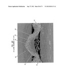 Methods of Making a Belt-Creped Absorbent Cellulosic Sheet Prepared with a     Perforated Polymeric Belt diagram and image