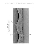 Methods of Making a Belt-Creped Absorbent Cellulosic Sheet Prepared with a     Perforated Polymeric Belt diagram and image