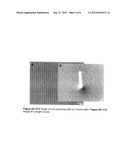 Nano Structural Anodes for Radiation Detectors diagram and image