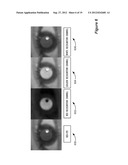 Red-Eye Removal Using Multiple Recognition Channels diagram and image