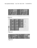 RAPID WORKFLOW SYSTEM AND METHOD FOR IMAGE SEQUENCE DEPTH ENHANCEMENT diagram and image