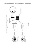 MOBILE IDENTITY PLATFORM diagram and image