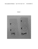 Adsorbents for Radioisotopes, Preparation Method Thereof, and Radioisotope     Generators Using the Same diagram and image