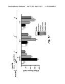 PROTEIN AGENT FOR DIABETES TREATMENT AND BETA CELL IMAGING diagram and image