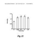 PROTEIN AGENT FOR DIABETES TREATMENT AND BETA CELL IMAGING diagram and image