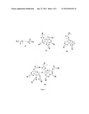 Pharmaceutical Compositions Comprising Polymeric Binders with     Non-Hydrolysable Covalent Bonds and Their Use in Treating Celiac Disease diagram and image