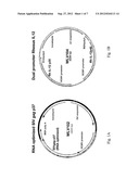 IMMUNOGENIC COMPOSITION AND METHODS diagram and image