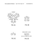 Specific Antibodies To Amyloid Beta Peptide, Pharmaceutical Compositions     And Methods Of Use Thereof diagram and image