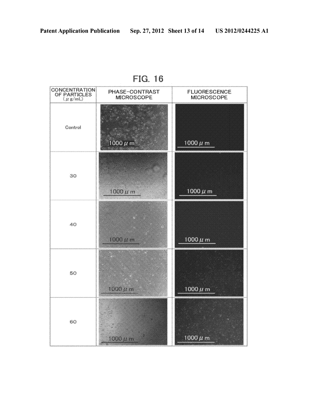 Au-Ag Core-Shell Nanorod Particles and Method for Producing Same - diagram, schematic, and image 14