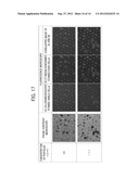 Au-Ag Core-Shell Nanorod Particles and Method for Producing Same diagram and image