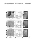 Dry Graphene Transfer from Metal Foils diagram and image