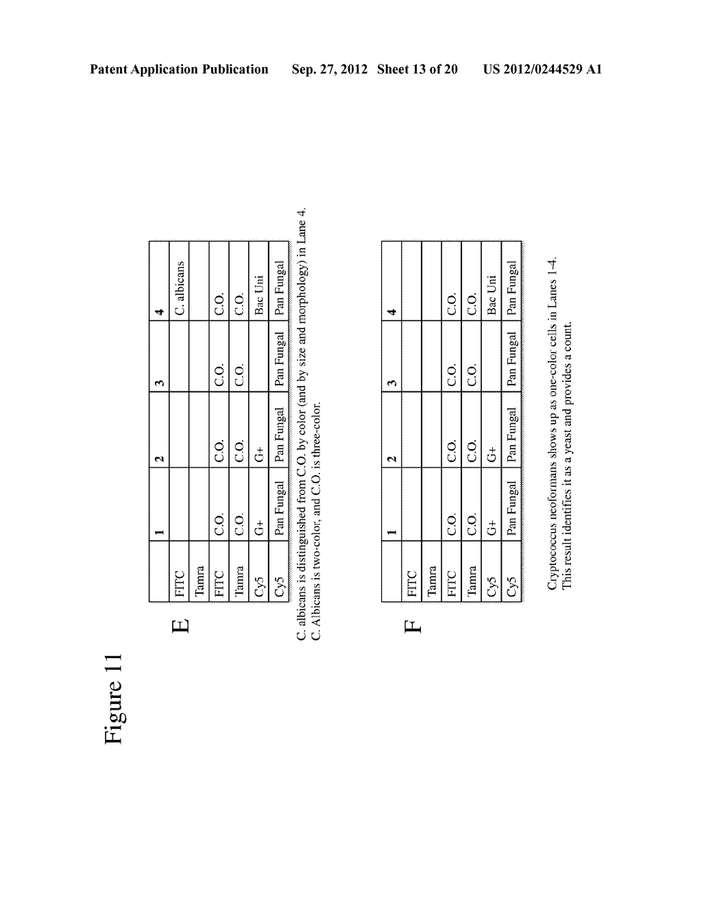 MULTIPLEX ANALYSIS OF CELLS, PARTICLES, AND OTHER ANALYTES - diagram, schematic, and image 14