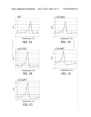 Probe for Detecting Polymorphism in Disease-Related Gene and Use of the     Probe diagram and image