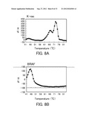 Probe for Detecting Polymorphism in Disease-Related Gene and Use of the     Probe diagram and image