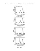 Probe for Detecting Polymorphism in Disease-Related Gene and Use of the     Probe diagram and image