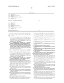 Probe for Detecting Polymorphism in Disease-Related Gene and Use of the     Probe diagram and image