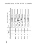 SPLICE VARIANTS OF HUMAN IL-23 RECEPTOR (IL-23R) mRNA AND USE OF A DELTA9     ISOFORM IN PREDICTING INFLAMMATORY BOWEL DISEASES diagram and image