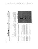 SPLICE VARIANTS OF HUMAN IL-23 RECEPTOR (IL-23R) mRNA AND USE OF A DELTA9     ISOFORM IN PREDICTING INFLAMMATORY BOWEL DISEASES diagram and image