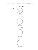 CYCLOTIDE GENES IN THE FABACEAE PLANT FAMILY diagram and image