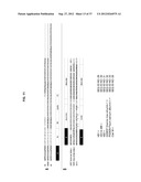 CYCLOTIDE GENES IN THE FABACEAE PLANT FAMILY diagram and image