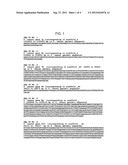 COMPOSITIONS AND METHODS FOR IMPROVED PROTEIN PRODUCTION diagram and image