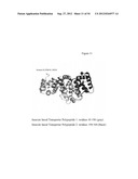 MULTIVALENT HETEROMULTIMER SCAFFOLD DESIGN AND CONSTRUCTS diagram and image