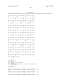 MULTIVALENT HETEROMULTIMER SCAFFOLD DESIGN AND CONSTRUCTS diagram and image