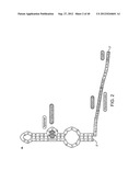 RIBOSWITCH BASED INDUCIBLE GENE EXPRESSION PLATFORM diagram and image