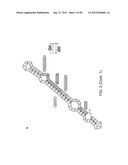 RIBOSWITCH BASED INDUCIBLE GENE EXPRESSION PLATFORM diagram and image