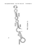 RIBOSWITCH BASED INDUCIBLE GENE EXPRESSION PLATFORM diagram and image