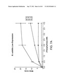 RIBOSWITCH BASED INDUCIBLE GENE EXPRESSION PLATFORM diagram and image