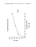 RIBOSWITCH BASED INDUCIBLE GENE EXPRESSION PLATFORM diagram and image