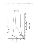 RIBOSWITCH BASED INDUCIBLE GENE EXPRESSION PLATFORM diagram and image