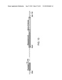 RIBOSWITCH BASED INDUCIBLE GENE EXPRESSION PLATFORM diagram and image