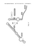 RIBOSWITCH BASED INDUCIBLE GENE EXPRESSION PLATFORM diagram and image