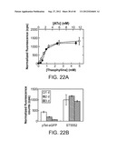 RIBOSWITCH BASED INDUCIBLE GENE EXPRESSION PLATFORM diagram and image