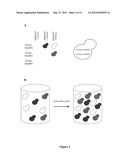 Entangled Mate Sequencing diagram and image